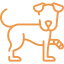 dog-3